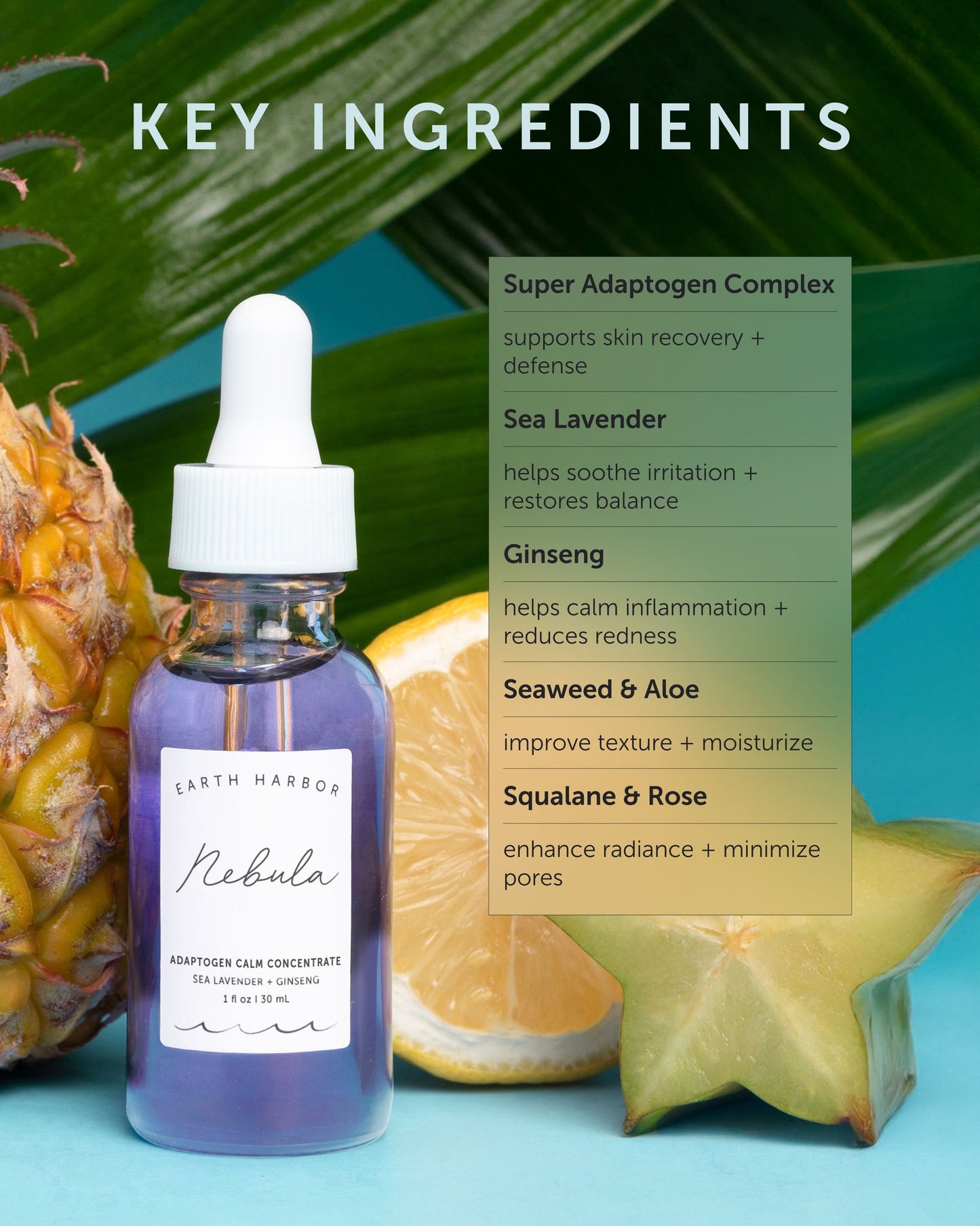 Earth Harbor Nebula Adaptogen Calm Concentrate