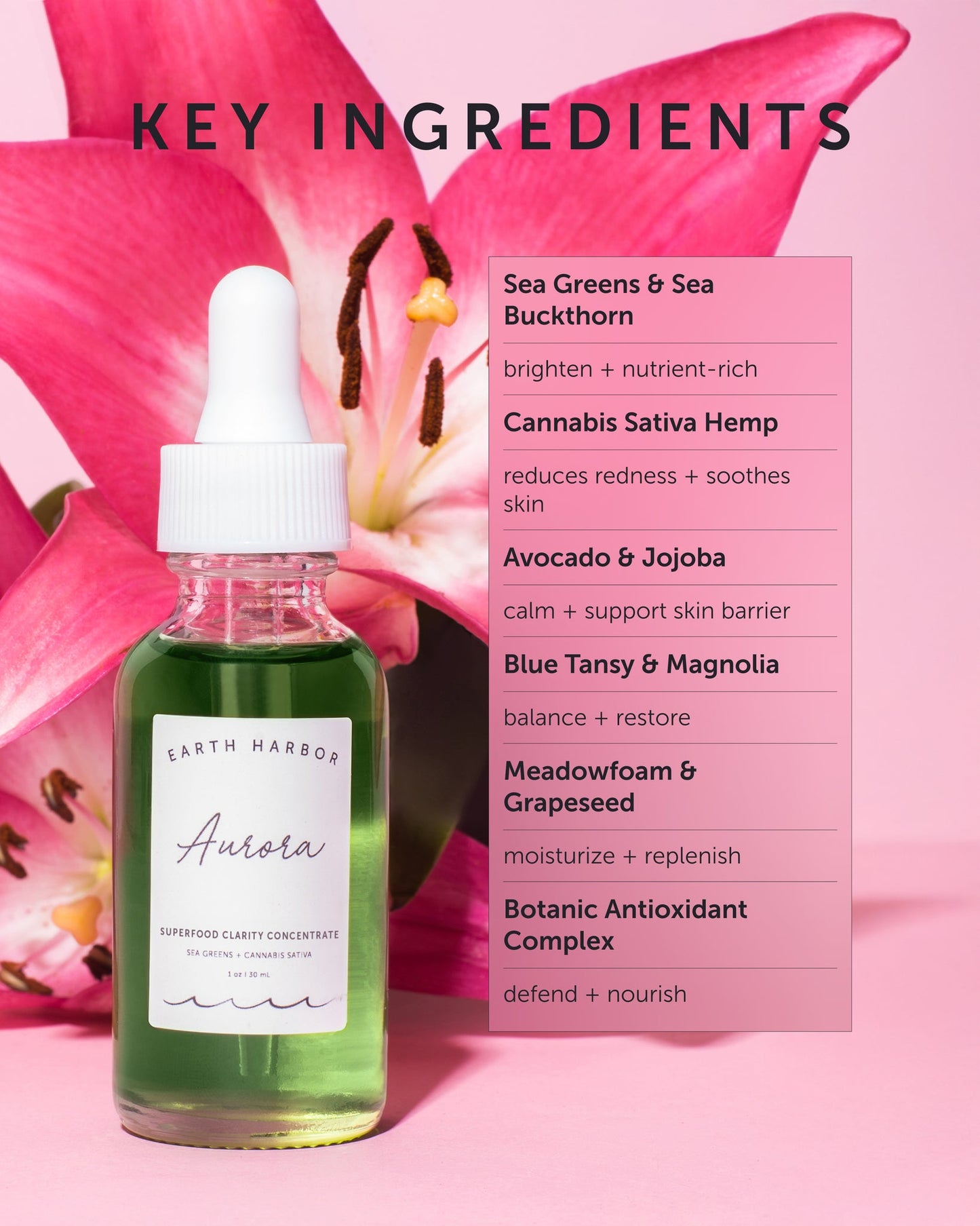 Earth Harbor Aurora Superfood Clarity Concentrate